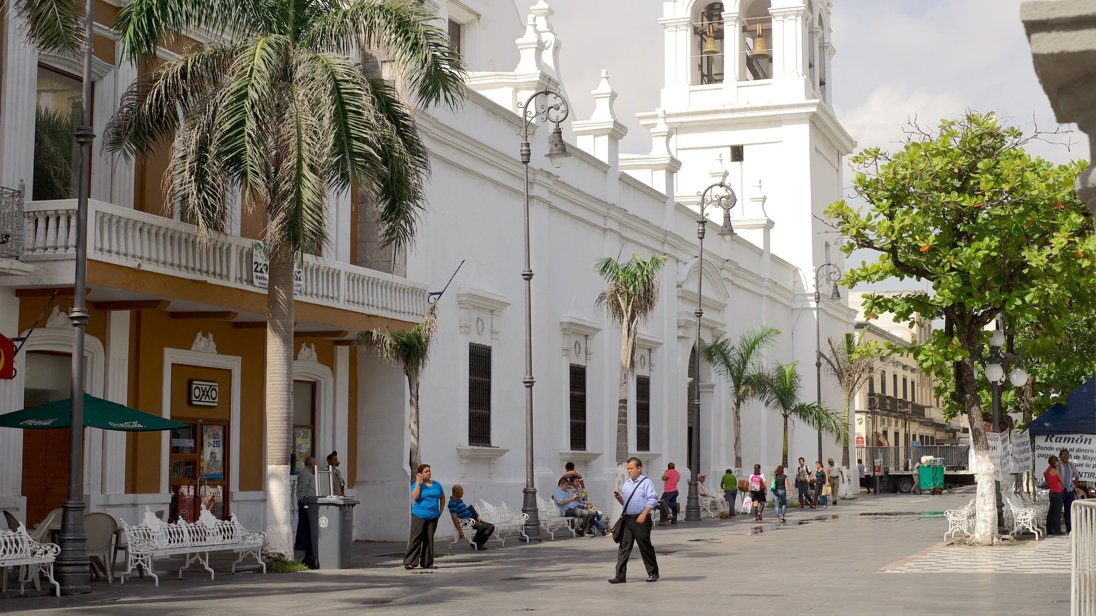 Veracruz Cathedral which includes a church or cathedral and street scenes