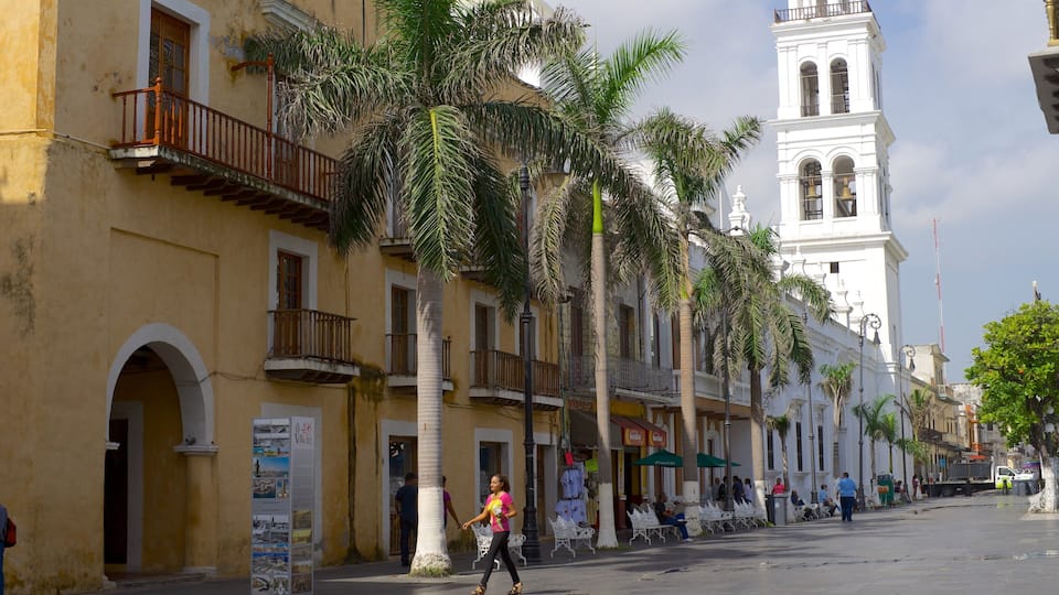 Veracruz Cathedral featuring street scenes and a church or cathedral