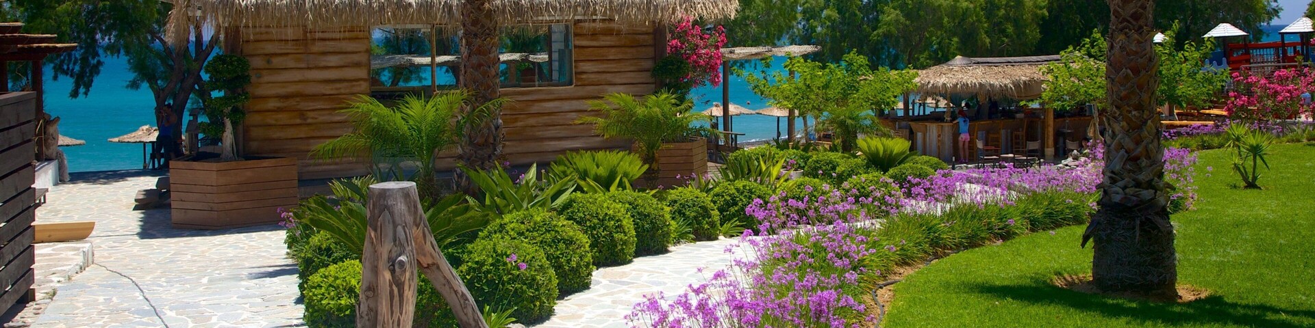 Agios Fokas Beach which includes a garden