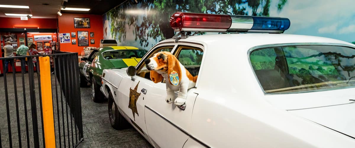 Cooter\'s Place showing interior views