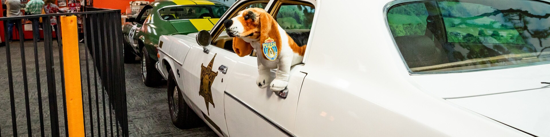 Cooter\'s Place showing interior views