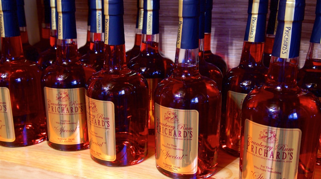 Fontanel Mansion featuring interior views