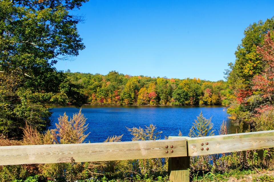 A lake surrounded by autumn-colored trees and a wooden fence.