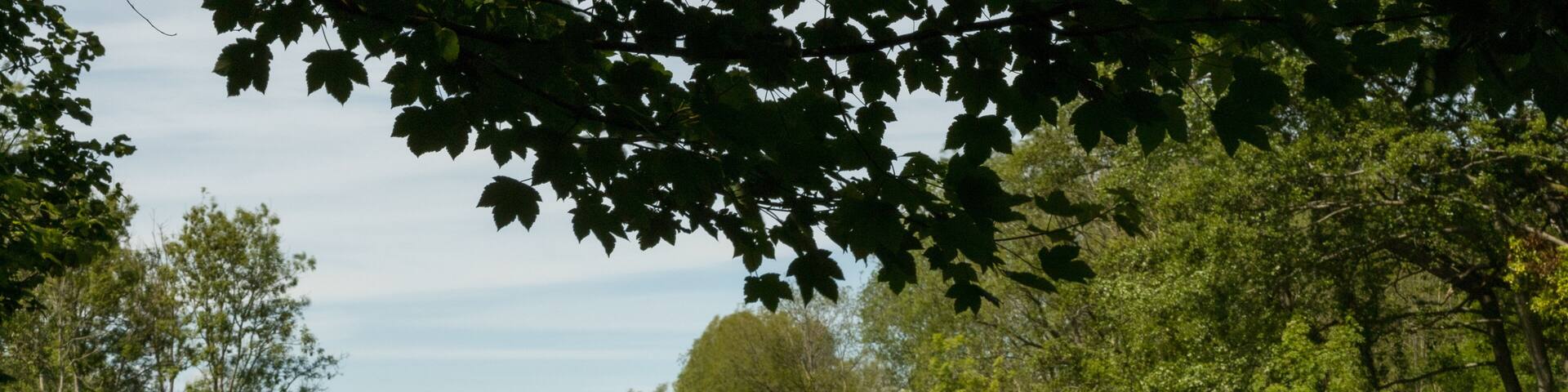 Long exposure water smoothing of a chalk river in the forest