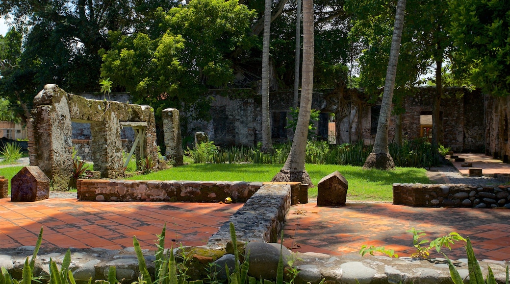 La Antigua showing a garden and a ruin