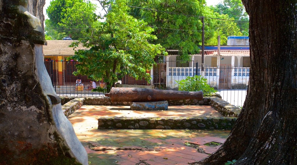 La Antigua showing a garden