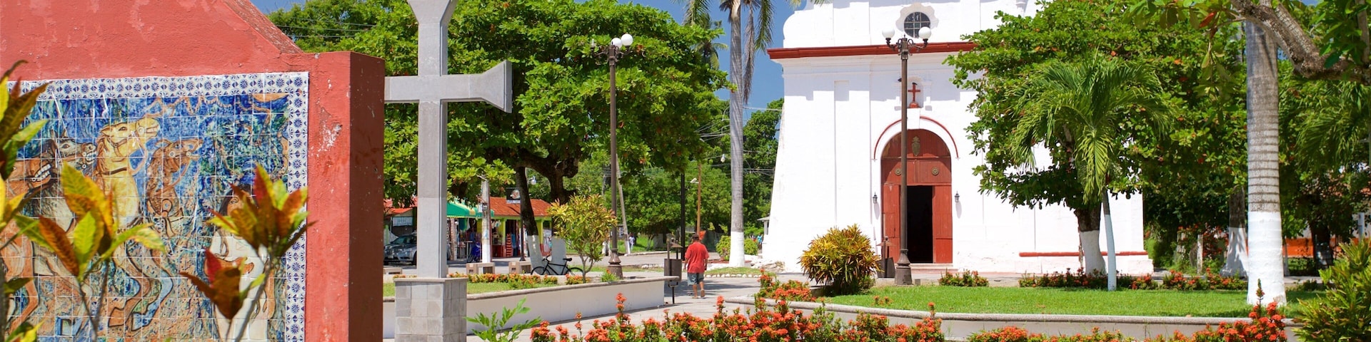 La Antigua showing a park, flowers and a church or cathedral