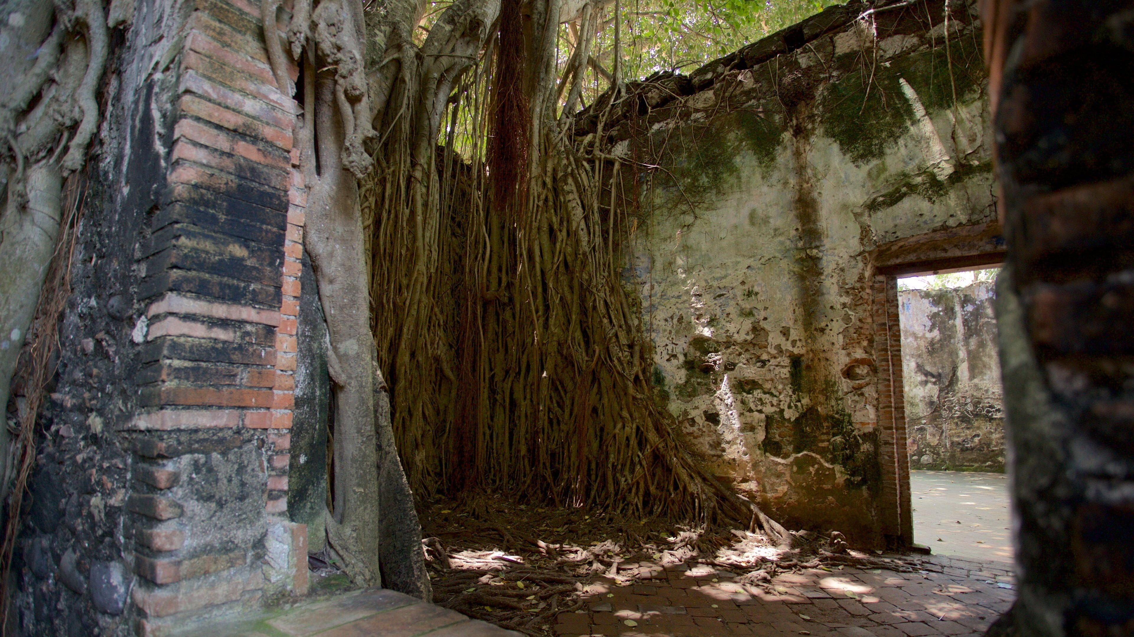 La Antigua featuring building ruins and forest scenes