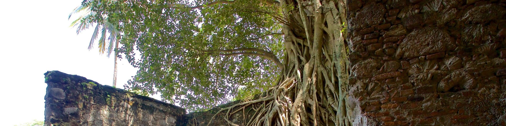 An ancient stone structure with overgrown roots and a cobblestone pathway.