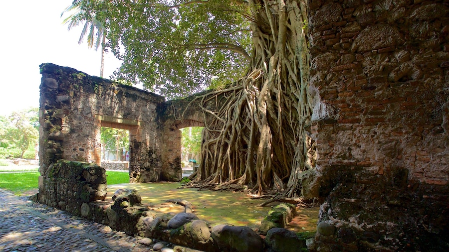 An ancient stone structure with overgrown roots and a cobblestone pathway.