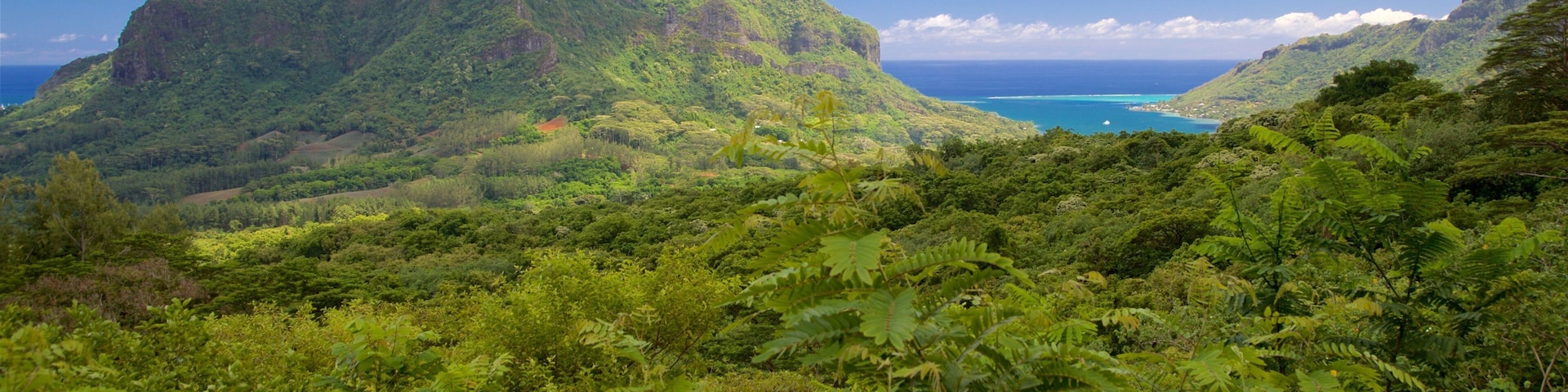 Belvedere Lookout showing mountains and general coastal views