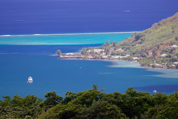 BelvédÚre mettant en vedette vues littorales