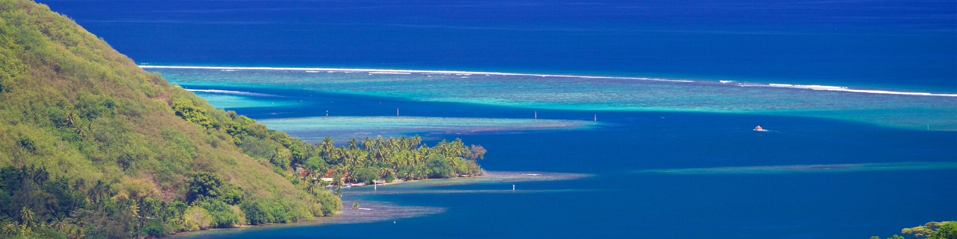 Belvedere Lookout featuring general coastal views