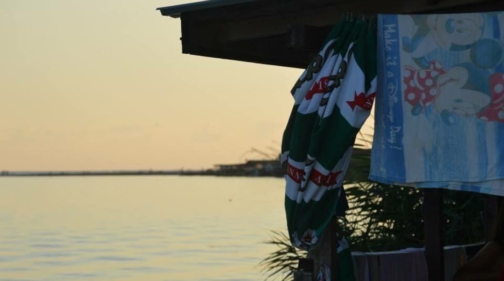 This image was taken on Ada Bojana. It is where Bojana River meets Adriatic Sea. Politically, it is the the boundary of Montenegro and Albania. Speaking from human perspective, this is where everyone meets everyone. This image was taken during the sunset, from the River looking at sea.