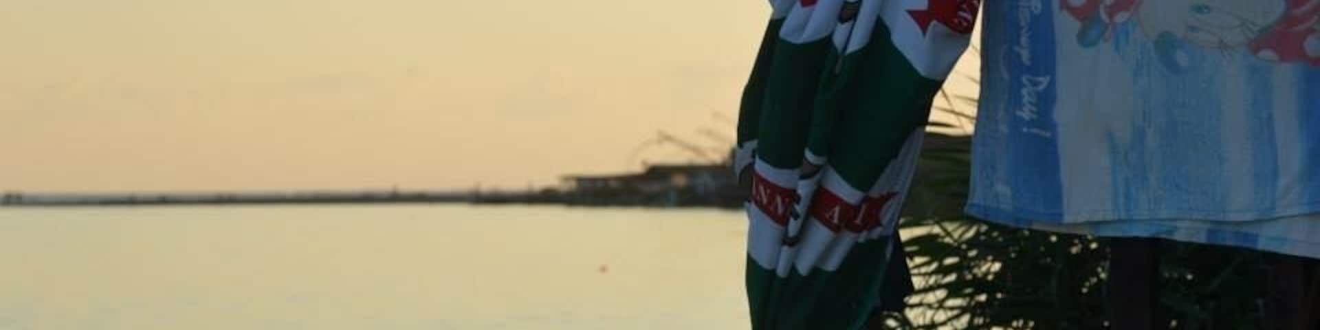 This image was taken on Ada Bojana. It is where Bojana River meets Adriatic Sea. Politically, it is the the boundary of Montenegro and Albania. Speaking from human perspective, this is where everyone meets everyone. This image was taken during the sunset, from the River looking at sea.