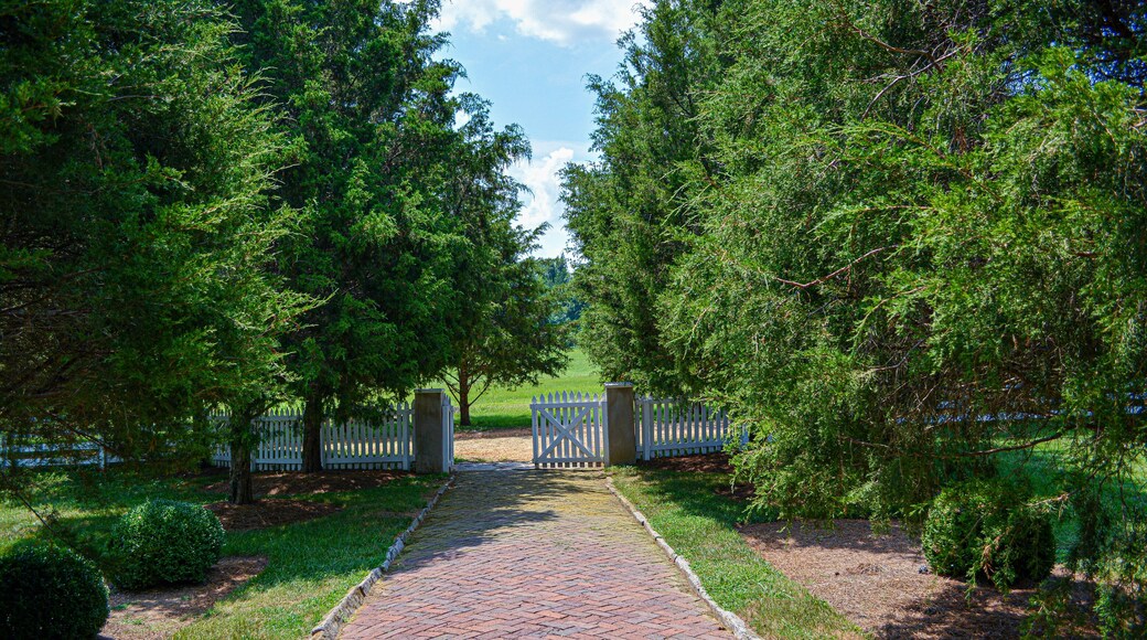 Plantation de Carnton