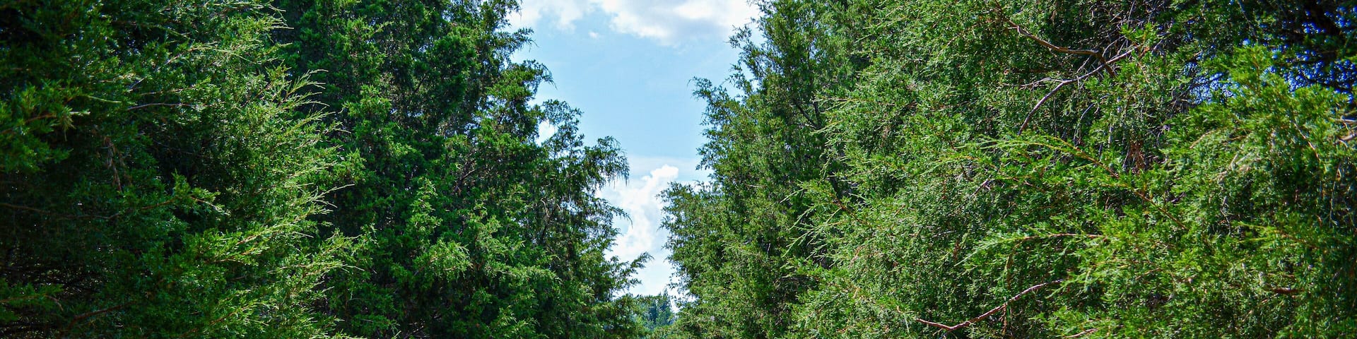 Carnton Plantation Garden