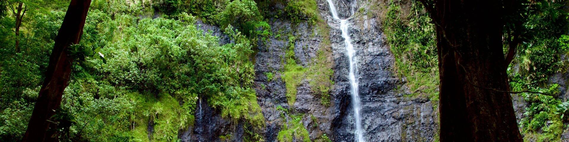 Faarumai Waterfalls which includes a cascade