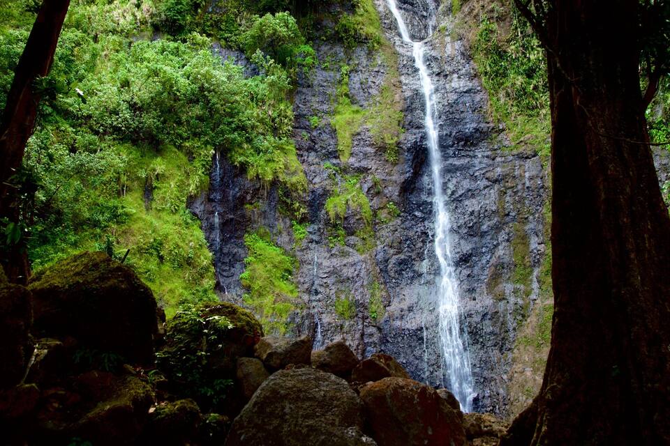 A waterfall surrounded by lush green forest and large rocks.