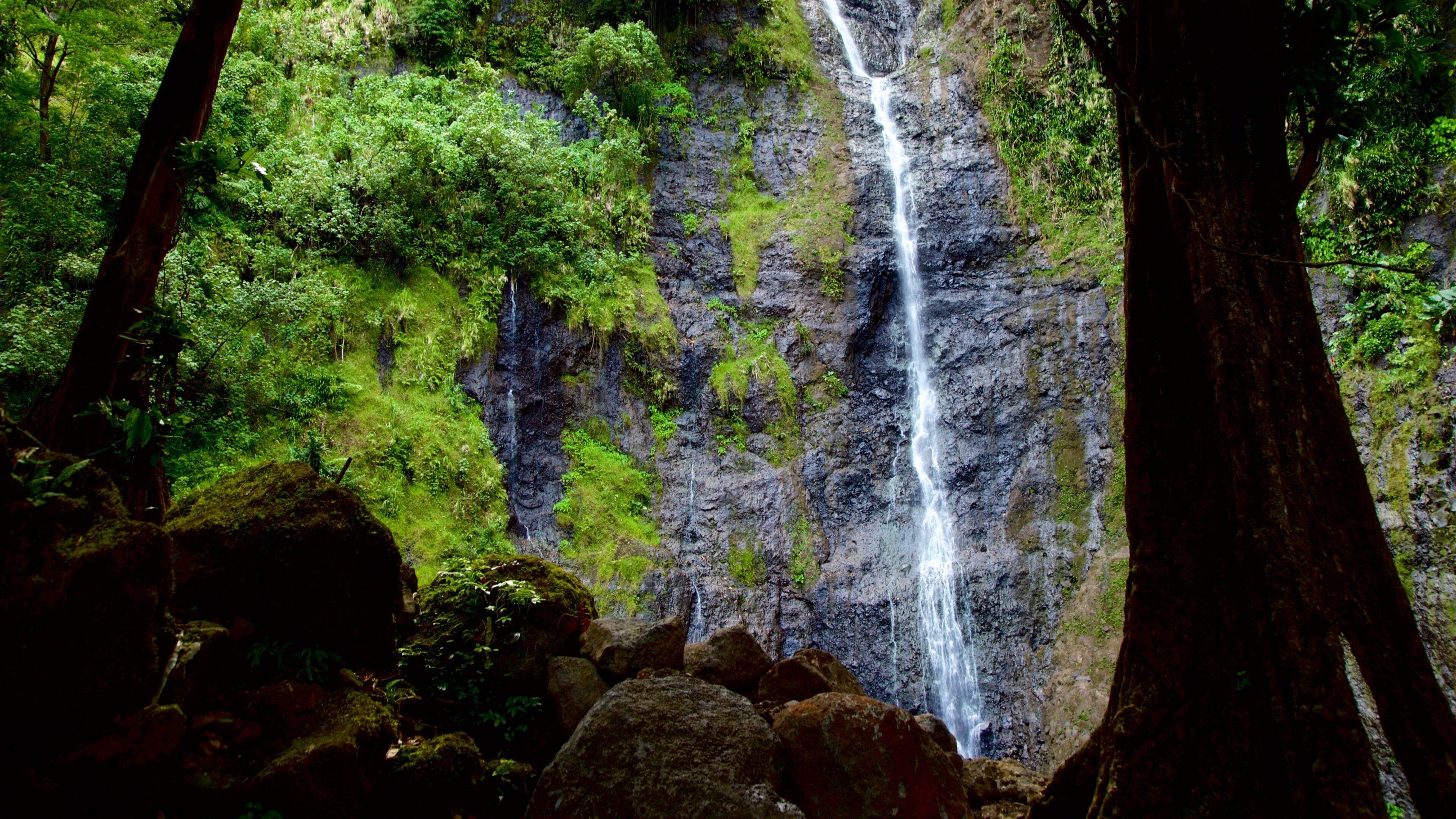 A waterfall surrounded by lush green forest and large rocks.