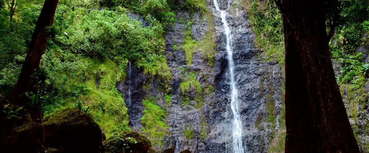 A waterfall surrounded by lush green forest and large rocks.