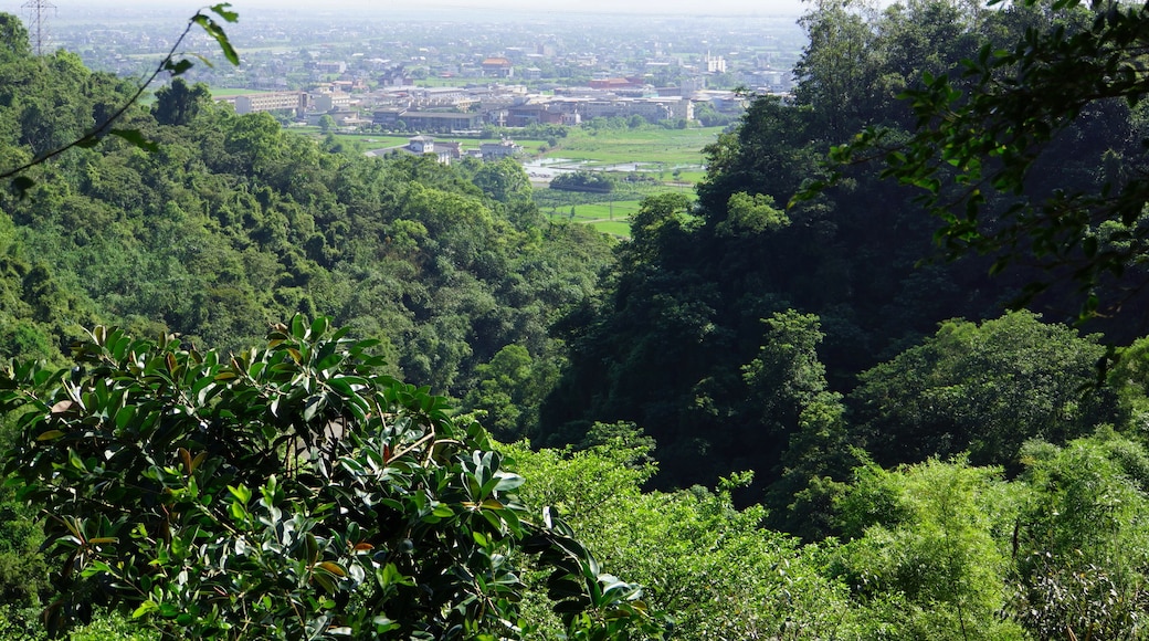 Lanyang Plain èéœćčłć