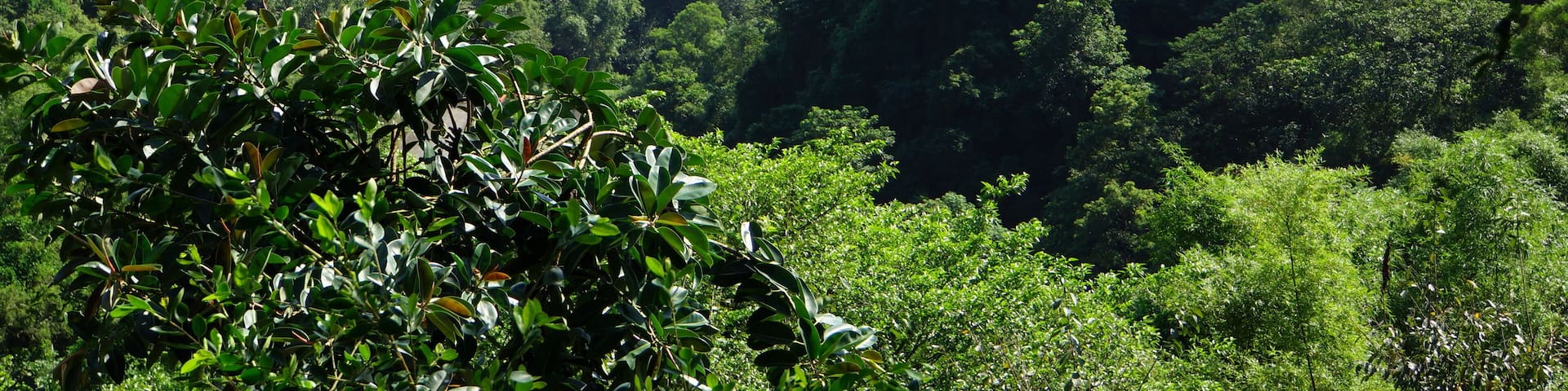 Lanyang Plain 蘭陽平原