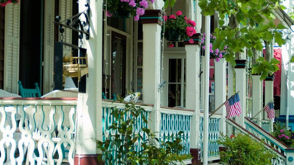 A porch with white columns, blue railings, and hanging purple flowers.