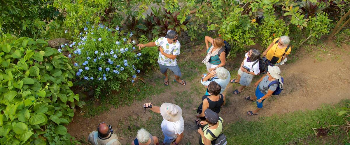 A group of people standing in a garden with various plants and flowers.