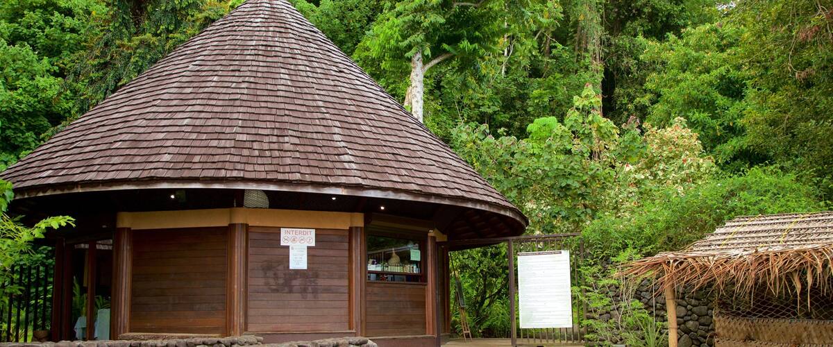 Watertuinen van Vaipahi bevat tropische uitzichten