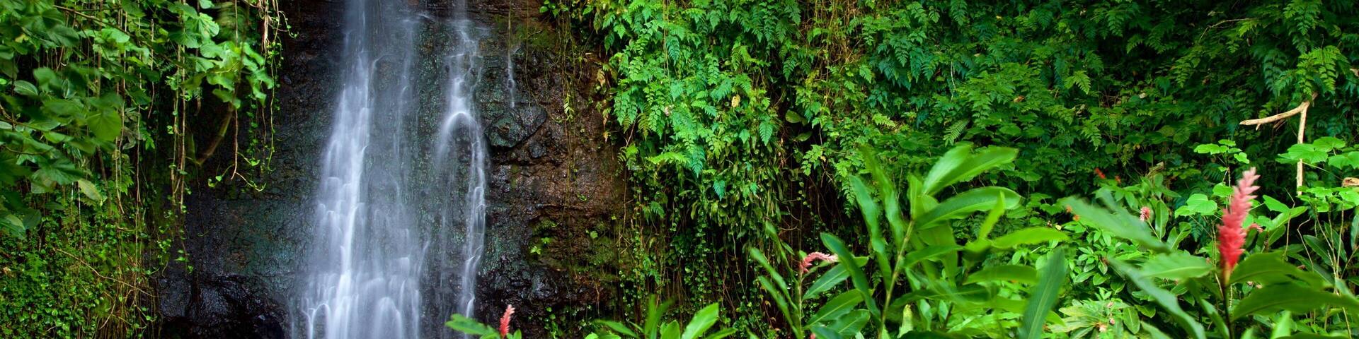 Jardin dâeau de Vaipahi qui includes chute d\'eau