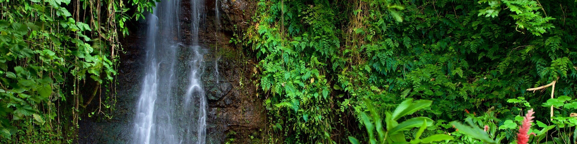 Jardins d\'eau de Vaipahi caracterizando uma cascata