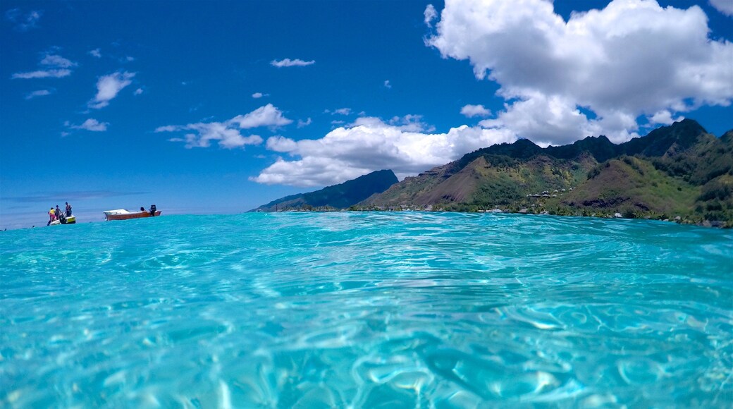 Tiahura Beach which includes tropical scenes and general coastal views