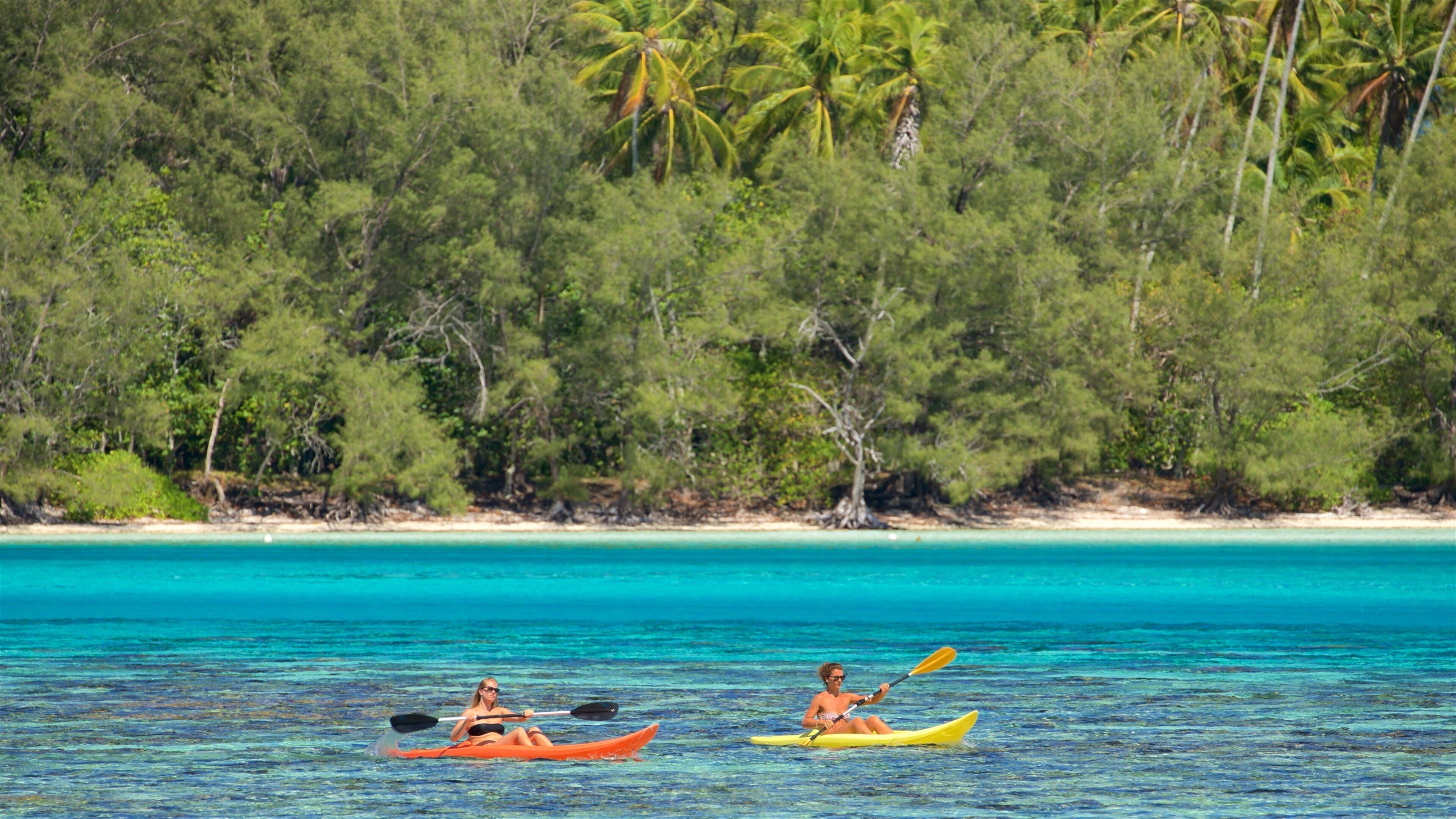 ティアフラ ビーチ どの含み 海岸線の眺め と カヤックあるいはカヌー 及び カップル