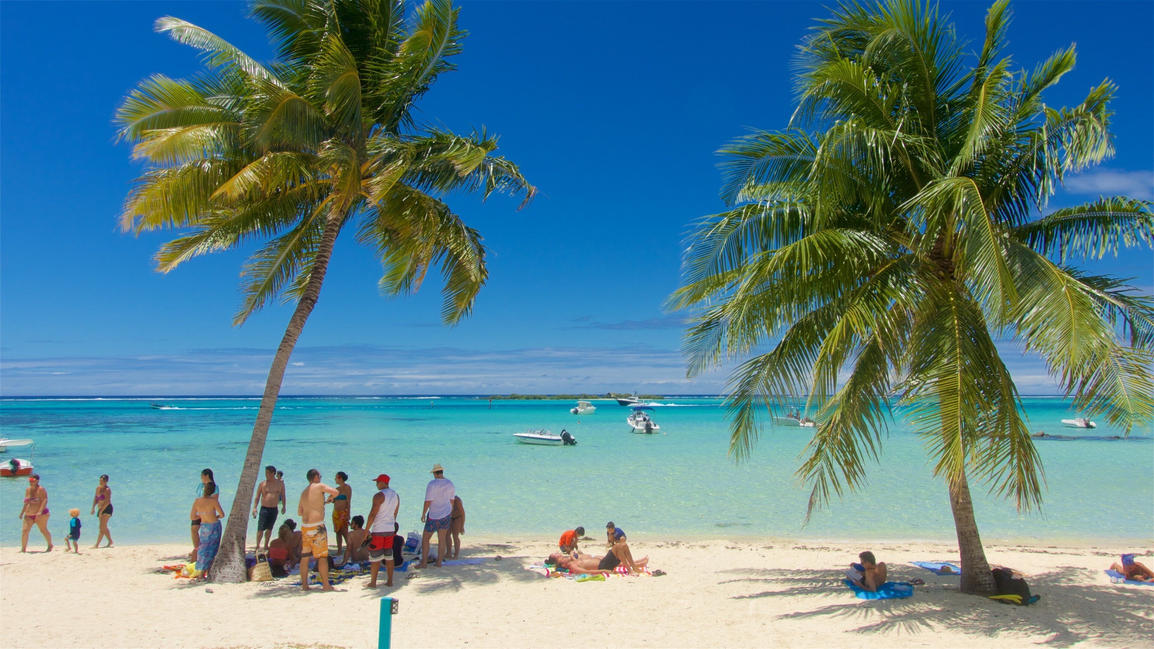 ティアフラ ビーチ どの含み 海岸線の眺め, ビーチ と 常夏の風景