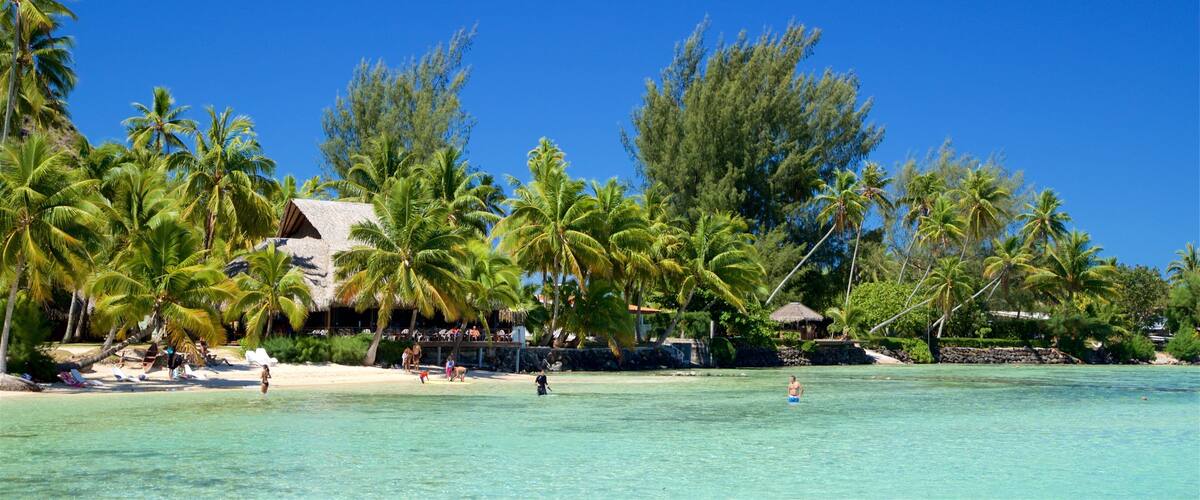 Tiahura Beach which includes tropical scenes and general coastal views