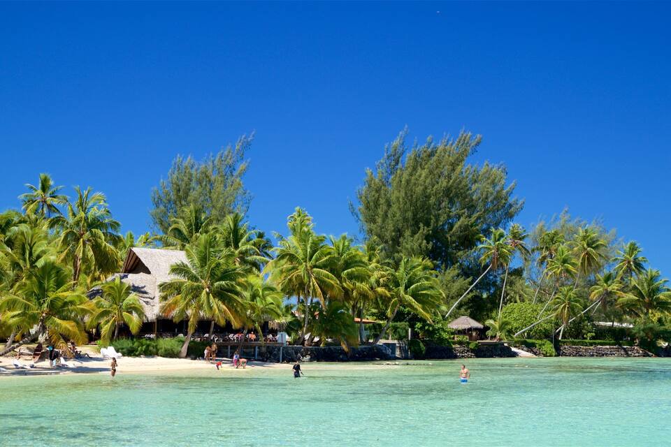 A tropical beach with palm trees, clear turquoise water, and a thatched-roof building.