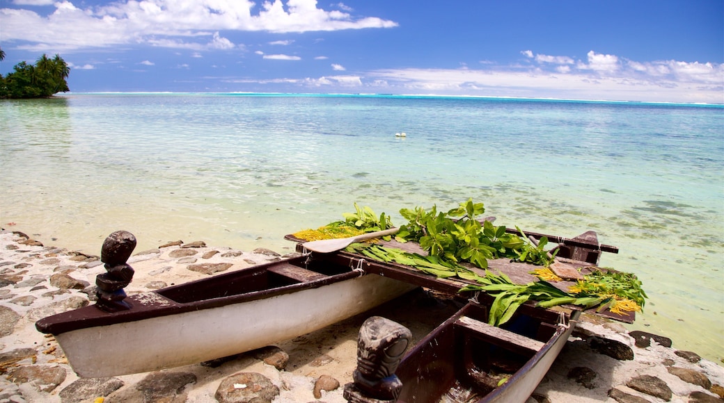 Tiki Village Cultural Centre showing tropical scenes and general coastal views