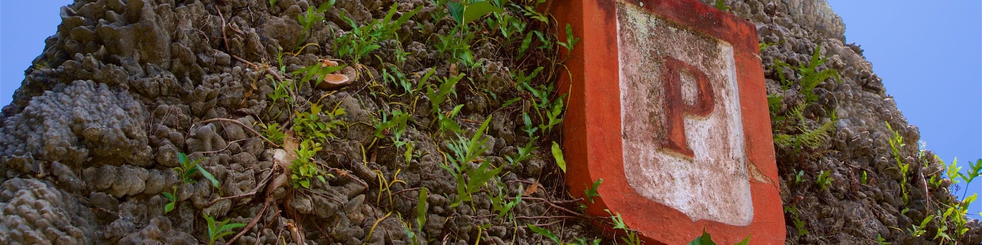 Tomb of King Pomare V which includes heritage elements