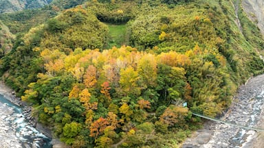 Aerial view of autumn landscape, Hsinchu ,Jianshi Xiuluan Maple Forest in Taiwan