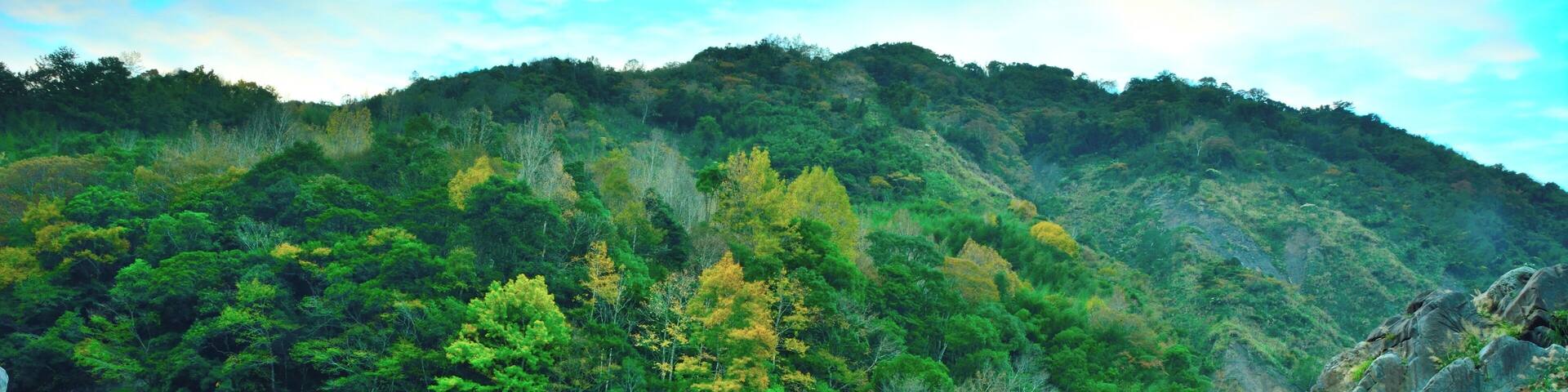 313, Taiwan, 新竹縣尖石鄉秀巒村