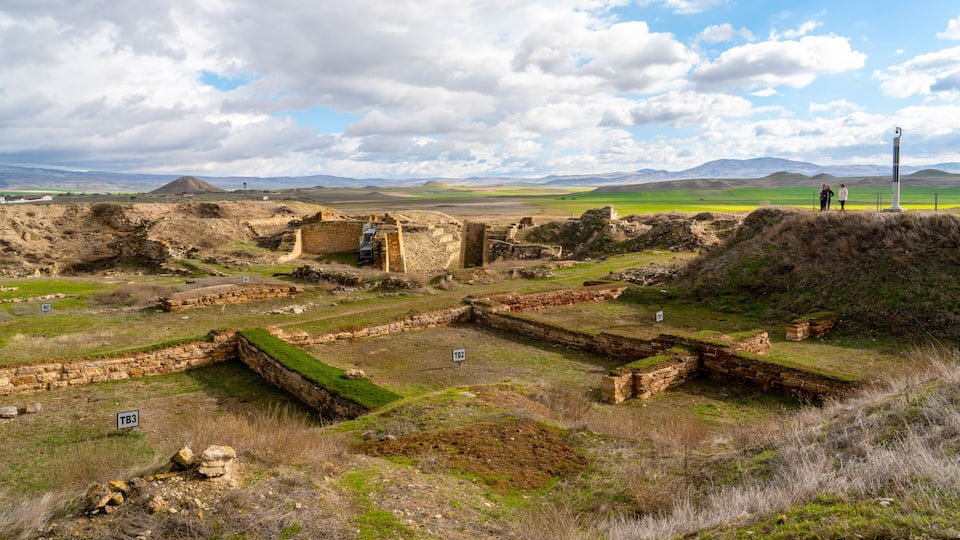 Ancient ruins with stone walls and structures in a grassy field, with mountains in the background.