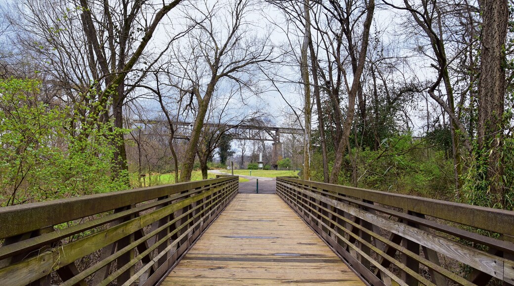 Views of Bridges and Pathways along the Shelby Bottoms Greenway and Natural Area Cumberland River frontage trails, bottomland hardwood forests, open fields, wetlands, and streams, Nashville, Tennessee