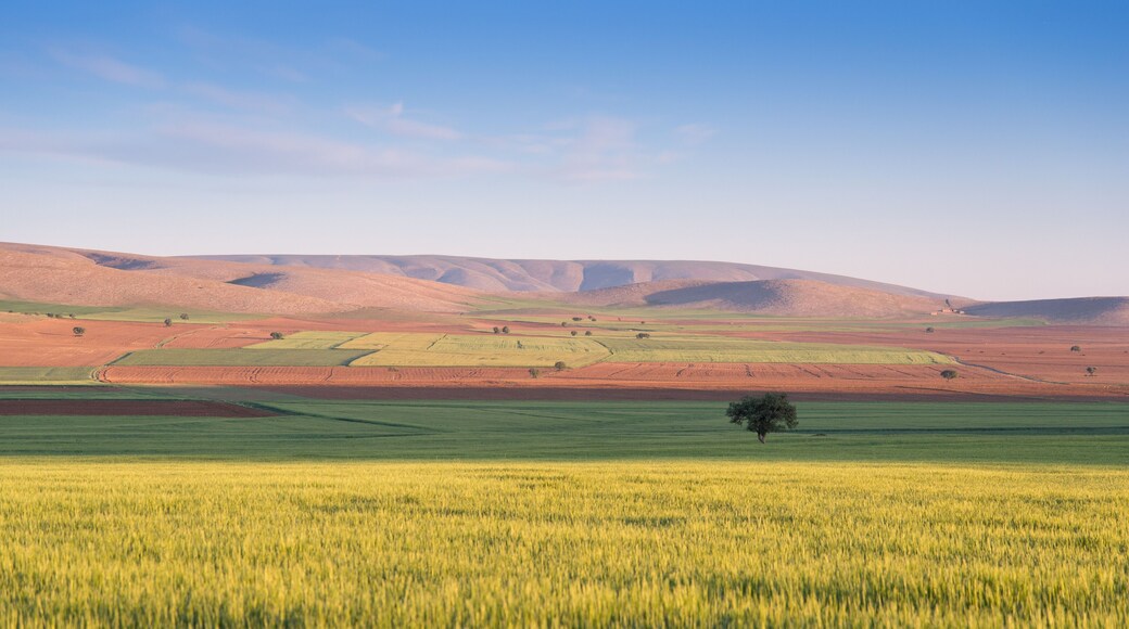 Turkey Central Anatolian landscape with crops and tree