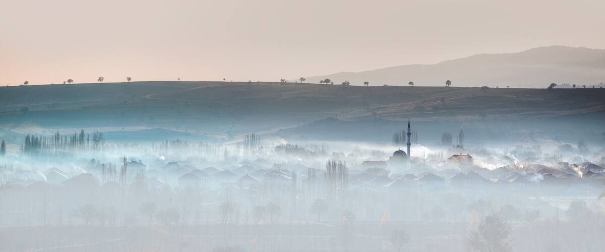 A misty landscape with rolling hills, scattered trees, and a distant building with a tower.