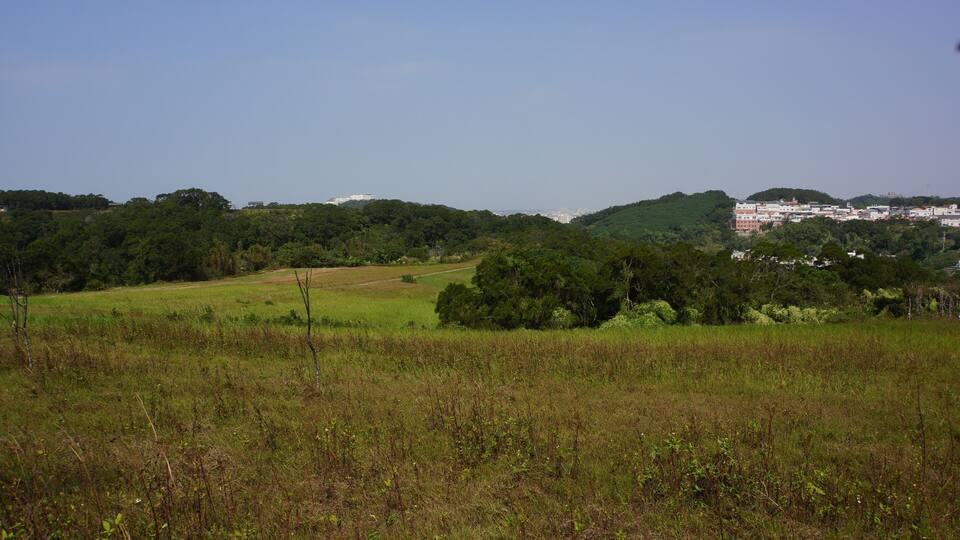 青青草原 qingqing grassland