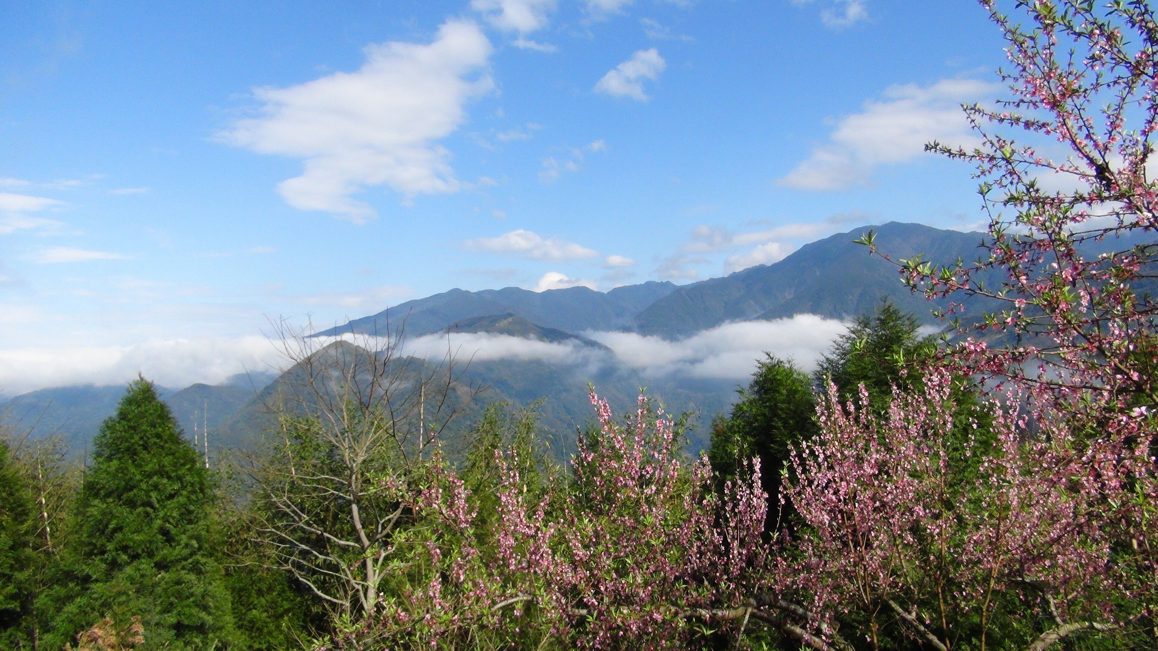 311, Taiwan, 新竹縣五峰鄉大隘村