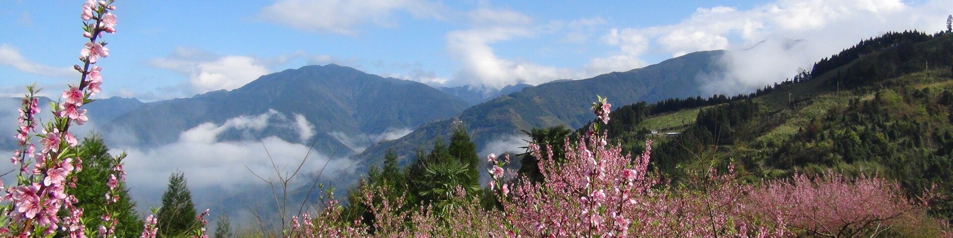 311, Taiwan, 新竹縣五峰鄉大隘村