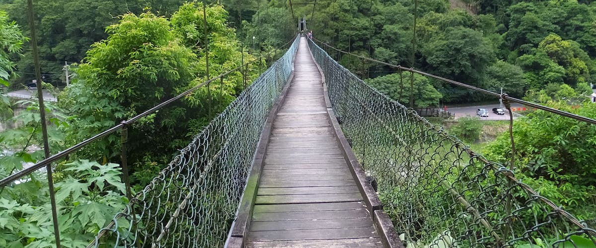Uma ponte suspensa rodeada por uma floresta verdejante.
