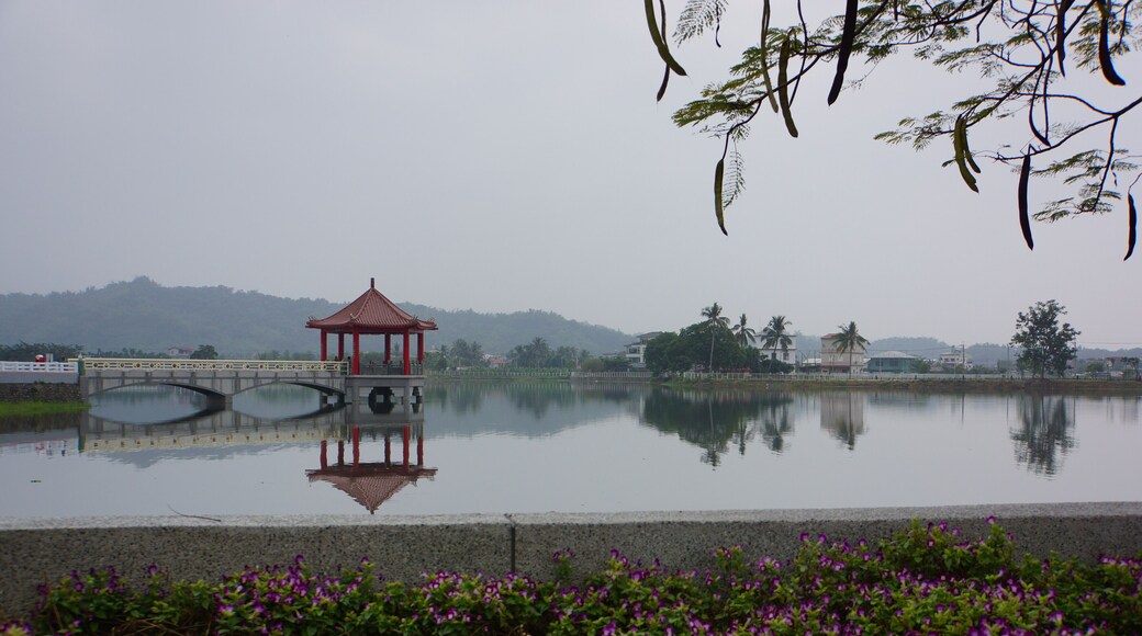 Meinong Zhongzheng Lake 美濃中正湖